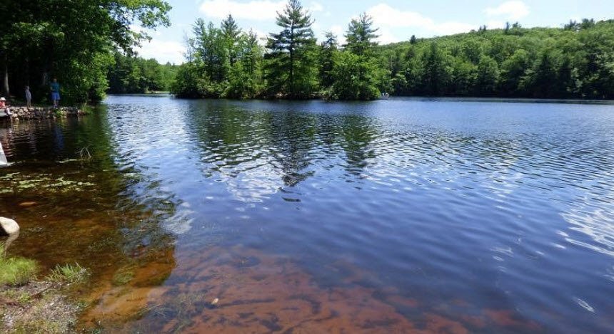 Dunn State Park, Massachusetts, USA